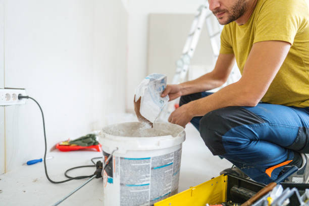 Best Basement Mold Removal  in Lacey, WA