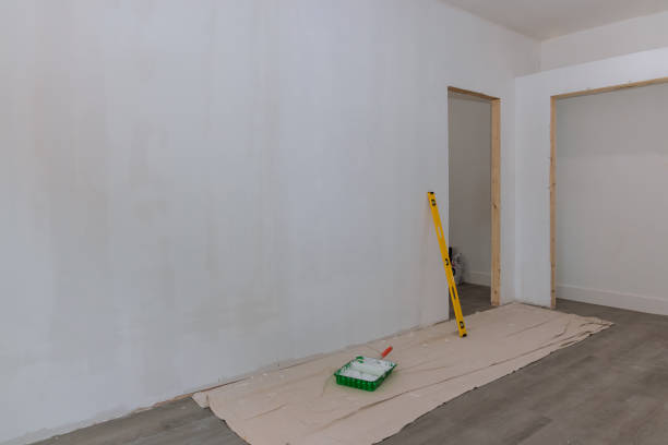 Trusted Lacey, WA Mold Removal Experts