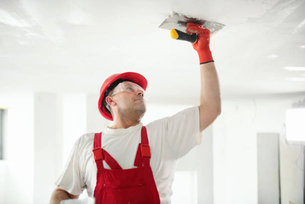 Best Mold Damage Restoration  in Lacey, WA