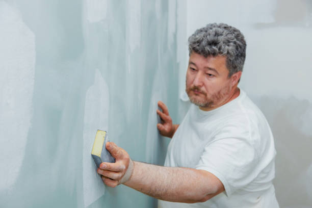 Best Attic Mold Removal  in Lacey, WA