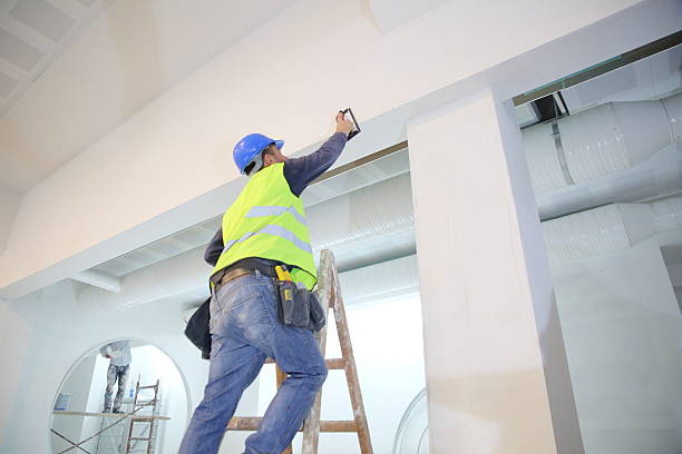 Best Basement Mold Removal  in Lacey, WA